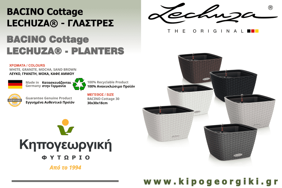 BACINO Cottage Self-Watering Planters